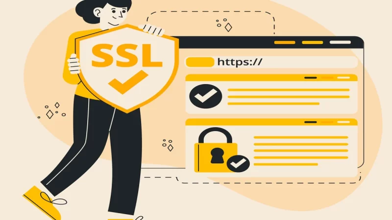 Do SSL Certificates Affect SEO? What You Need to Know